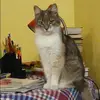 Отзыв от Зинаида Минина